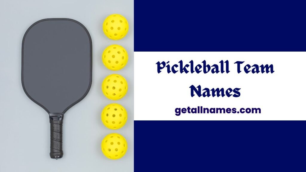 An image of Pickleball equipment