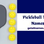 An image of Pickleball equipment