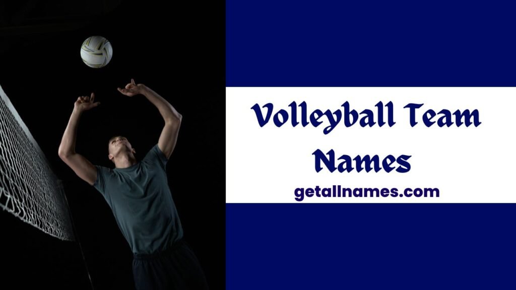 Volleyball Team Names