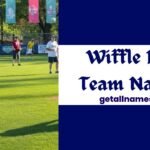 Wiffle Ball Team Names